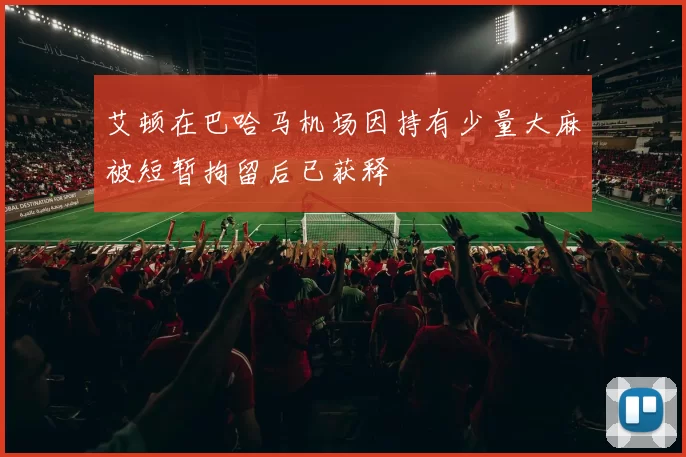 艾顿在巴哈马机场因持有少量大麻被短暂拘留后已获释
