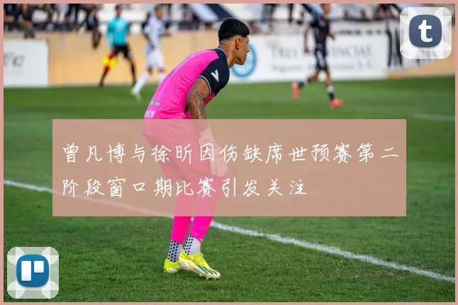 曾凡博与徐昕因伤缺席世预赛第二阶段窗口期比赛引发关注